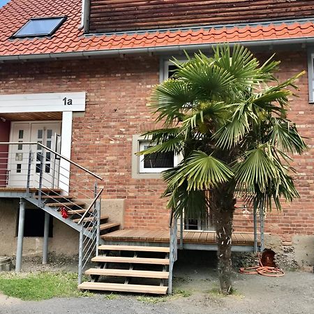Komfortables Doppelzimmer In Kehl Goldscheuer - 1A Guesthouse Dış mekan fotoğraf